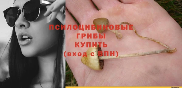 2c-b Белокуриха