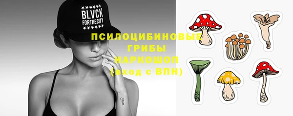 2c-b Белокуриха