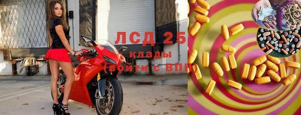 PSILOCYBIN Беломорск