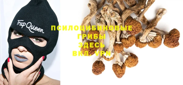 2c-b Белокуриха