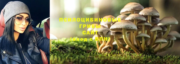 PSILOCYBIN Беломорск